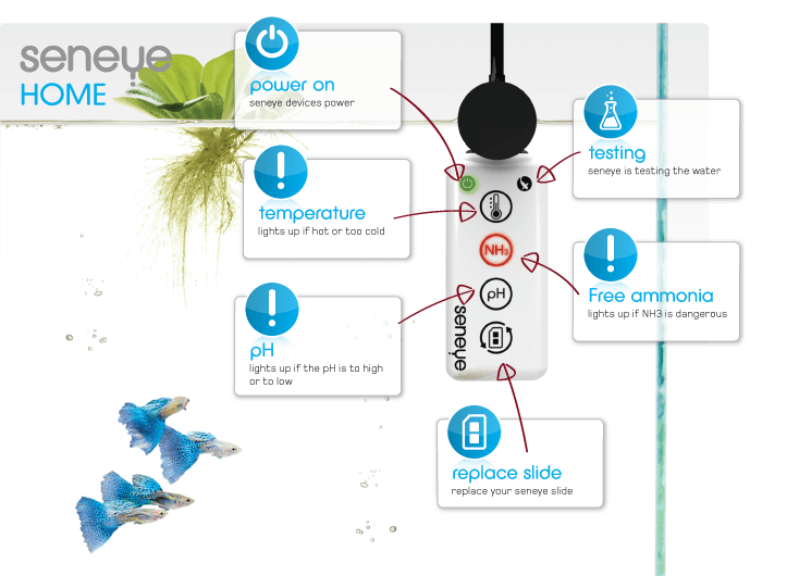 seneye home aquarium monitor